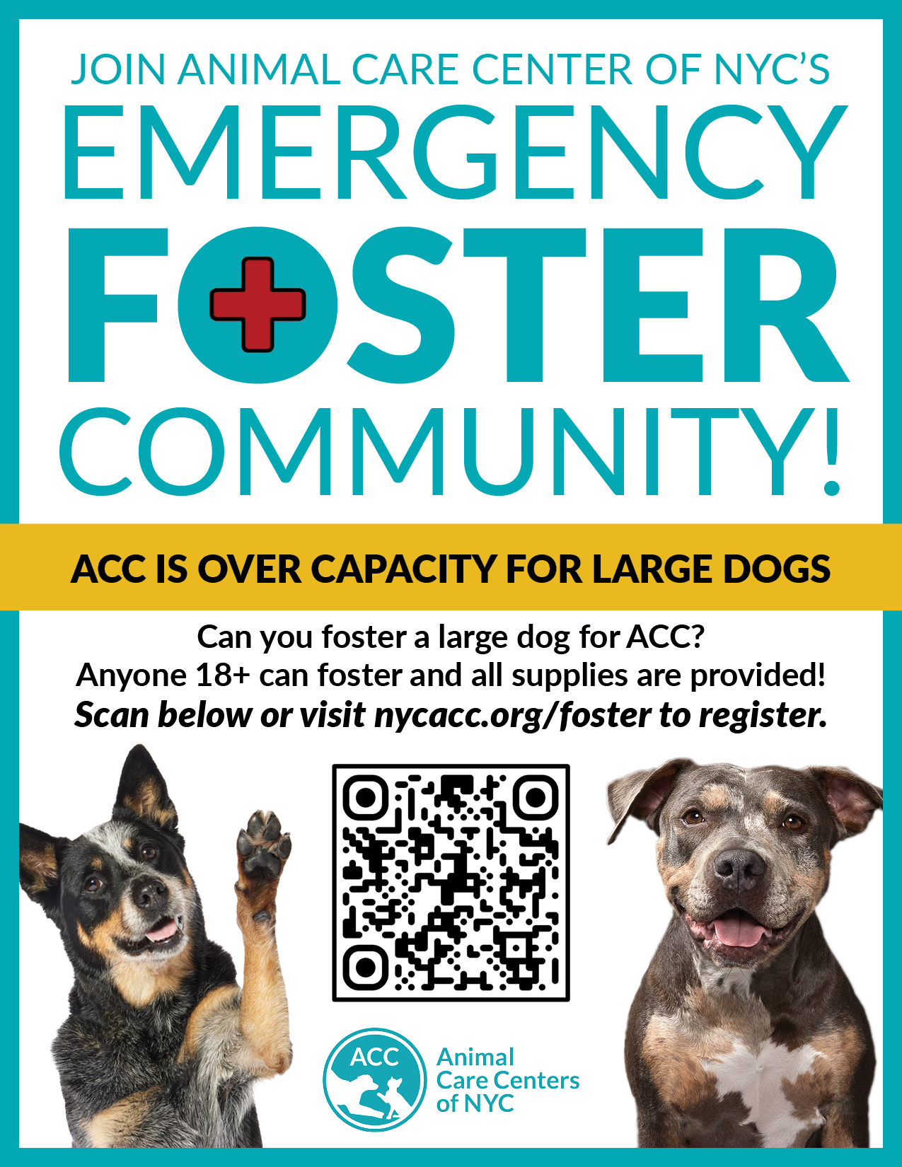 Flyers Animal Care Centers of NYC